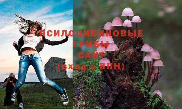 мяу мяу мука Алзамай