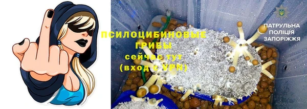 PSILOCYBIN Алексеевка