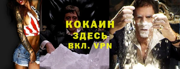 тгк Алексин
