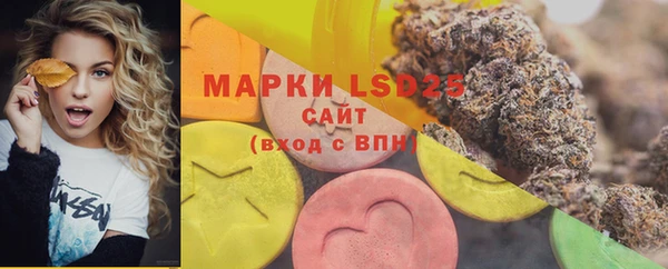 мяу мяу мука Алзамай