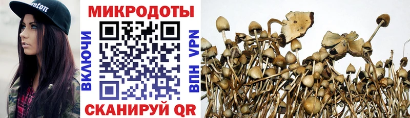 omg как зайти  Сельцо  Галлюциногенные грибы мухоморы  хочу наркоту 